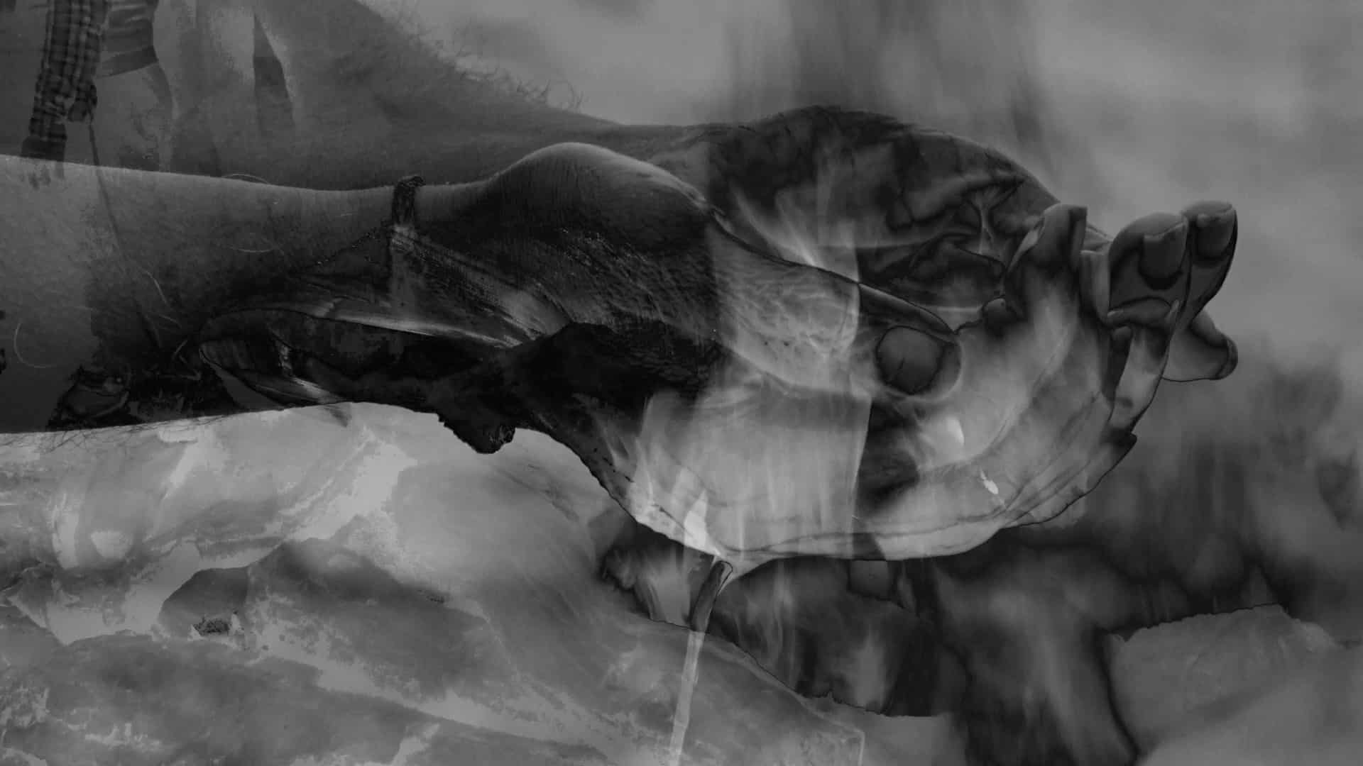 INDIA – Vera © Stephan Crasneanscki