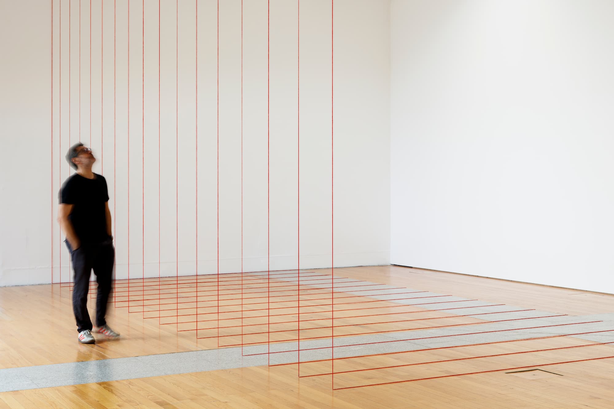 Fred Sandback  © António Jorge Silva