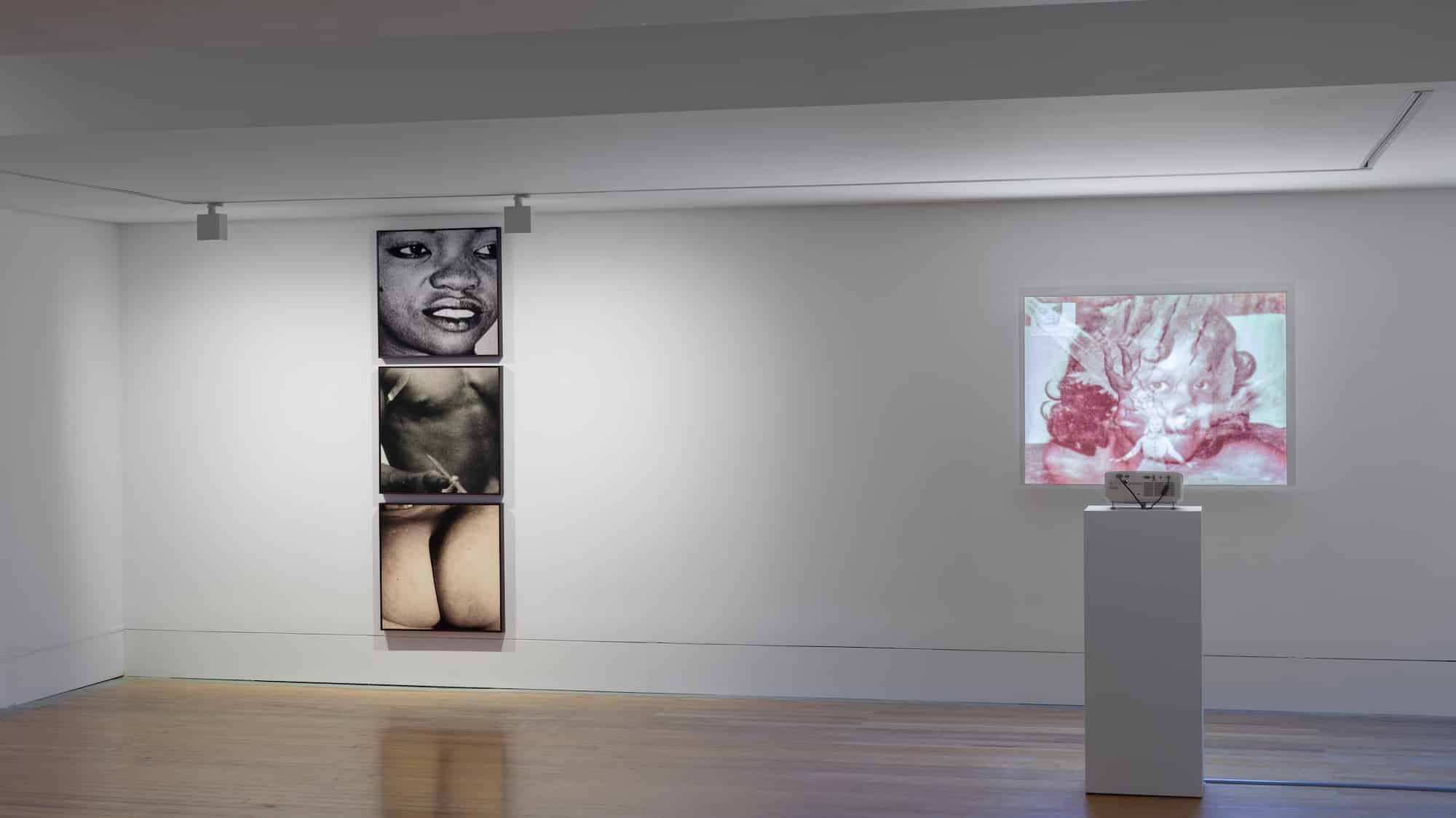 Vista parcial da exposição «Frida Orupabo» (c) António Jorge Silva