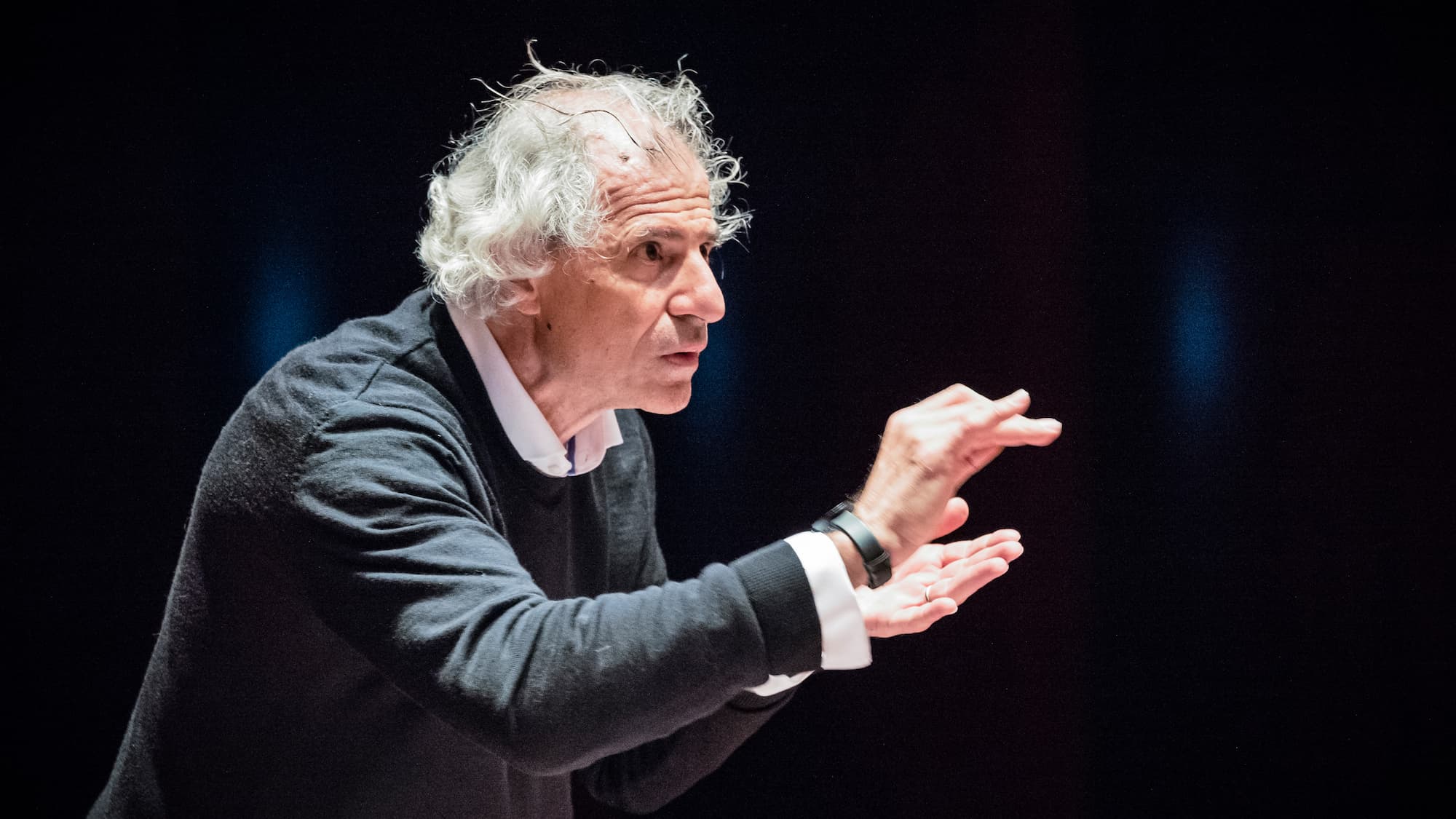 Sinfonia n.º 6 «Pastoral» de Beethoven